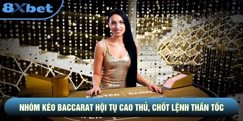 Nhóm kéo Baccarat hội tụ cao thủ, chốt lệnh thần tốc