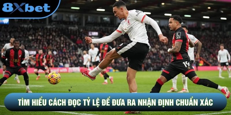Tìm hiểu cách đọc tỷ lệ để đưa ra nhận định chuẩn xác Tìm hiểu cách đọc tỷ lệ để đưa ra nhận định chuẩn xác