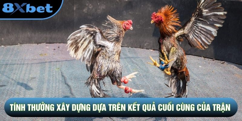Tính thưởng xây dựng dựa trên kết quả cuối cùng của trận