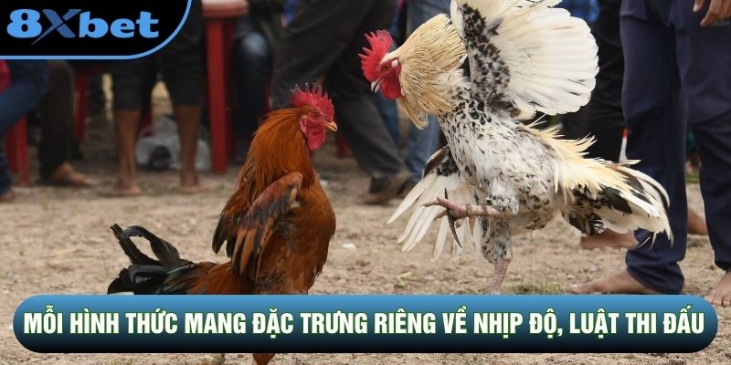 Mỗi hình thức mang đặc trưng riêng về nhịp độ, luật thi đấu Mỗi hình thức mang đặc trưng riêng về nhịp độ, luật thi đấu