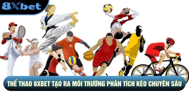 Thể thao 8XBET tạo ra môi trường phân tích kèo chuyên sâu