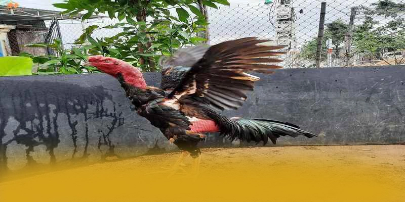 Lợi thế cạnh tranh của W88 trong cùng phân khúc Lợi thế cạnh tranh của W88 trong cùng phân khúc
